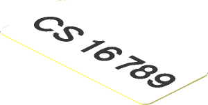Sticker  0.8 x  1.8 with Black Number Plate "CS 16 789" on White Background