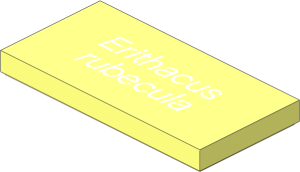 Tile  2 x  4 with "Erithacus rubecula" Pattern