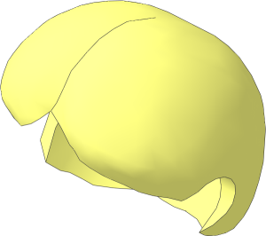 Maxifig Hair with Bun