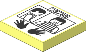 Tile  2 x  2 with Prisoner ID "23768" Pattern