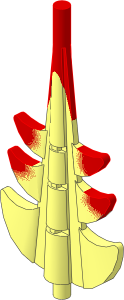 Animal Dragon Tail End with Faded Red Pattern