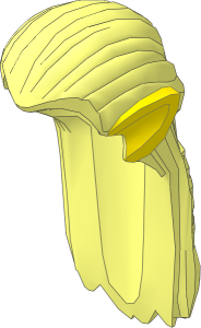 Minifig Hair Long Straight with Three Braids and Light Nougat Elves Ears Pattern