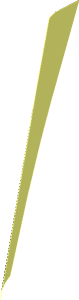Sticker  0.7 x  4.6 with Right Sand Green And Black Windshield Pillar (Formed)