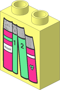 Duplo Brick  1 x  2 x  2 with Dark Pink and Light Green Books Pattern
