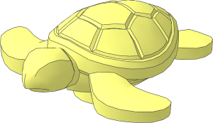 Animal Sea Turtle Baby