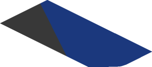 ~Sticker  0.8 x  1.6 with Black Triangle and White Sparco Logo on Blue Background Left -  Third Face