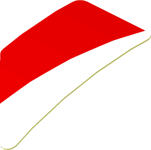 Sticker  0.8 x  1.6 with Black Triangle and White Stripe on Background Right (Formed)