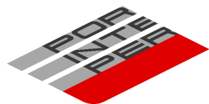 ~Sticker  0.8 x  4.0 with Black "PORSCHE INTELLIGENT PERFORMANCE" on Grey Stripes and Red Stripe on White Background Left - Fourth Face