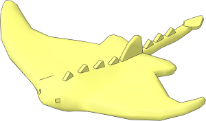 Animal Manta Ray