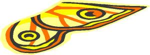 ~Animal Butterfly Yellow, Orange and Black Wing Pattern