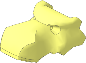 Animal Dinosaur Head Tyrannosaurus Rex