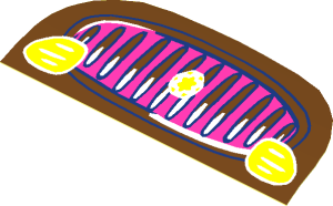 Sticker  1.4 x  3.9 D-shape with Magenta Car Grille, Yellow Lights and Star (Formed)