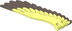 Animal Eagle Wing Right with Dark Brown Feathers Pattern