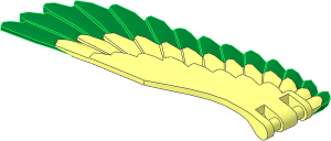 Animal Eagle Wing Right with Metallic Gold Feathers Pattern