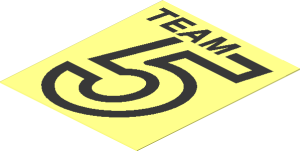 Sticker  1.9 x  2.3 with Black "TEAM 5" on Clear Background