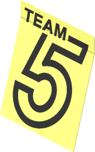 Sticker  1.9 x  2.3 with Black "TEAM 5" on Clear Background (Formed)