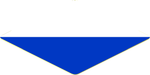Sticker  1.8 x  1.8 with Blue and White Diagonal Halves