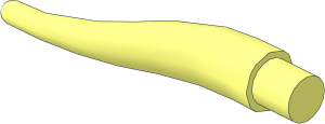 Animal Cow Horn  2.25L