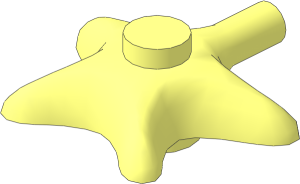 Animal Starfish