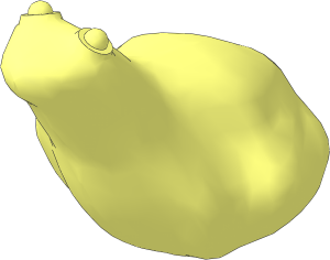 Animal Frog