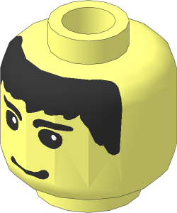 Minifig Head with Black Hair, Eyebrows and Smirk Pattern
