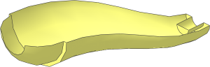 ~Animal Dinosaur Tail/Neck S Curve - Bottom (Needs Work)