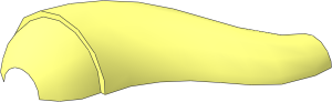 ~Animal Dinosaur Tail/Neck S Curve - top (Needs Work)