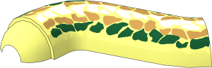 ~Animal Serpent Basilisk Tail/Neck S Curve - Top with Scales Pattern